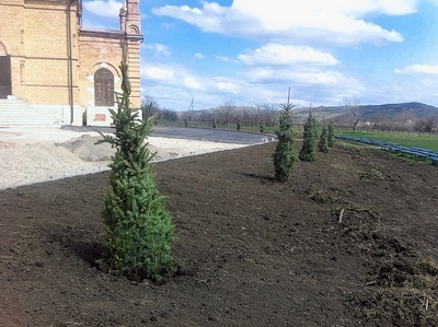 Накануне праздника Пасхи Христовой на территории храма высадили парк